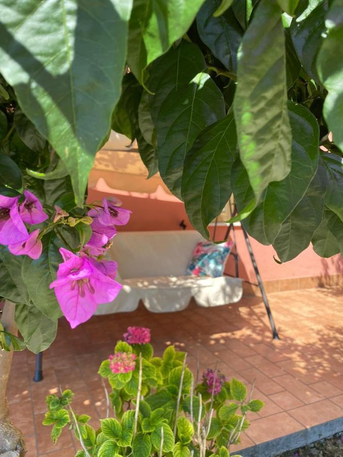 B&B Santa Lucia Silvi Paese Luaran gambar